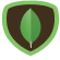MongoDB